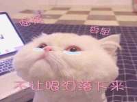 南京真和建筑工程有限公司
