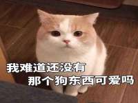 南京真和建筑工程有限公司