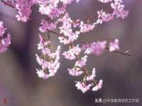 南京真和建筑工程有限公司