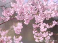 南京真和建筑工程有限公司