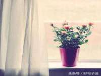 南京真和建筑工程有限公司