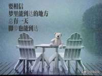 南京真和建筑工程有限公司