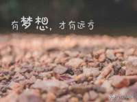 南京真和建筑工程有限公司