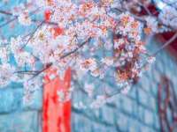 南京真和建筑工程有限公司