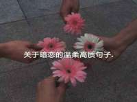 南京真和建筑工程有限公司