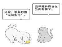 南京真和建筑工程有限公司