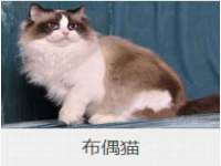 南京真和建筑工程有限公司