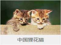 南京真和建筑工程有限公司