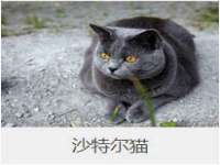 南京真和建筑工程有限公司