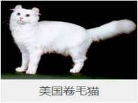 南京真和建筑工程有限公司