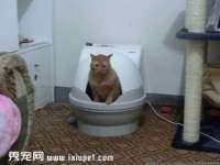 南京真和建筑工程有限公司