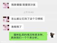 南京真和建筑工程有限公司