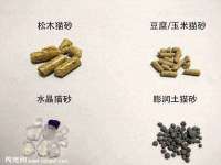 南京真和建筑工程有限公司