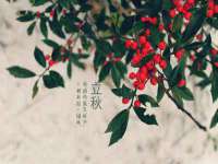 南京真和建筑工程有限公司