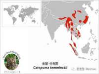 南京真和建筑工程有限公司