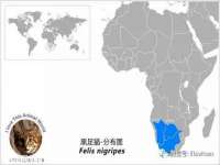 南京真和建筑工程有限公司