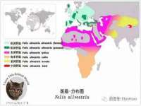 南京真和建筑工程有限公司