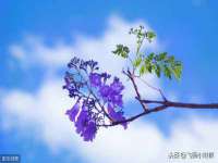 南京真和建筑工程有限公司