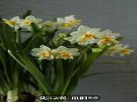 南京真和建筑工程有限公司