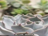 南京真和建筑工程有限公司
