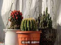 南京真和建筑工程有限公司