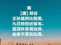 南京真和建筑工程有限公司