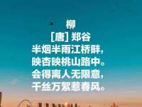 南京真和建筑工程有限公司