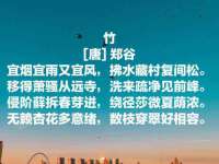 南京真和建筑工程有限公司