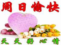 南京真和建筑工程有限公司