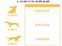 南京真和建筑工程有限公司