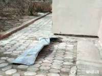 南京真和建筑工程有限公司