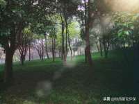 南京真和建筑工程有限公司