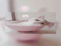南京真和建筑工程有限公司