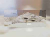 南京真和建筑工程有限公司