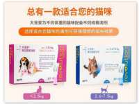 南京真和建筑工程有限公司