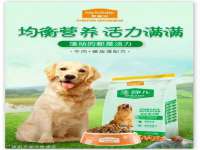 南京真和建筑工程有限公司