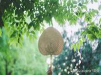南京真和建筑工程有限公司