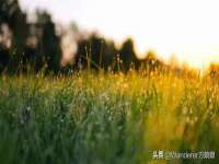 南京真和建筑工程有限公司