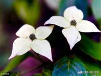 南京真和建筑工程有限公司