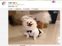 南京真和建筑工程有限公司