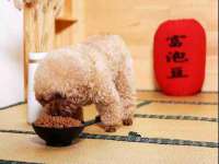 南京真和建筑工程有限公司