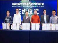 南京真和建筑工程有限公司