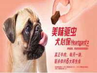 南京真和建筑工程有限公司