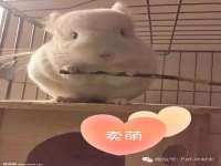 南京真和建筑工程有限公司