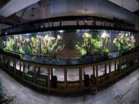 南京真和建筑工程有限公司
