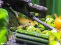 南京真和建筑工程有限公司