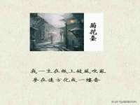 南京真和建筑工程有限公司