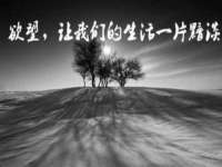 南京真和建筑工程有限公司