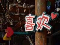 南京真和建筑工程有限公司