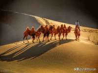 南京真和建筑工程有限公司